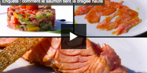 Reportage Fr3 : Comment le saumon de France tient la dragée haute au saumon Norvégien
